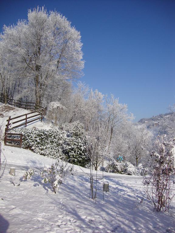 Cascina Nel Bosco Bed & Breakfast Moncucco Torinese Ngoại thất bức ảnh