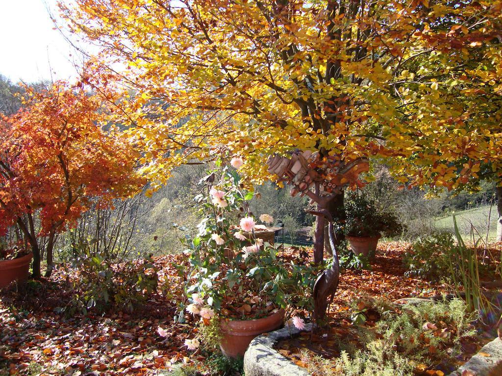 Cascina Nel Bosco Bed & Breakfast Moncucco Torinese Ngoại thất bức ảnh