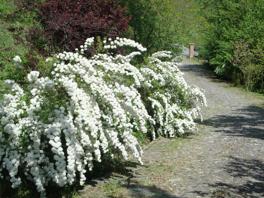 Cascina Nel Bosco Bed & Breakfast Moncucco Torinese Ngoại thất bức ảnh